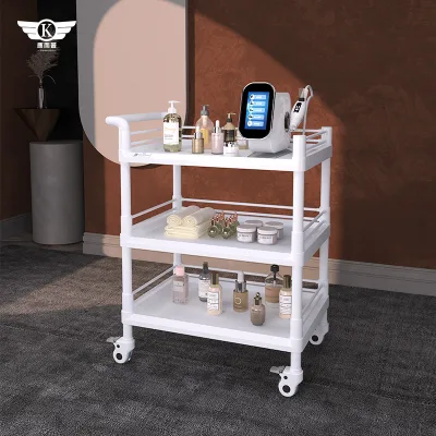 Factory Prices Premium Plastic Beauty Salon Trolleys Professional SPA Spa Beauty Belt Late and Drawer Trolleys