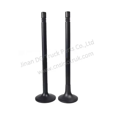 SITRAK C7H G7S C9H HOWO T5G TX7 for SinotruK SITRAK HOWO Mixer Parts Engine Intake Valve 202V04101-0575