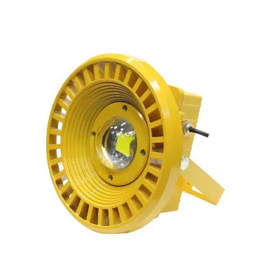 Square Round 30w 50w 100w Led Explosion Proof Flood Light