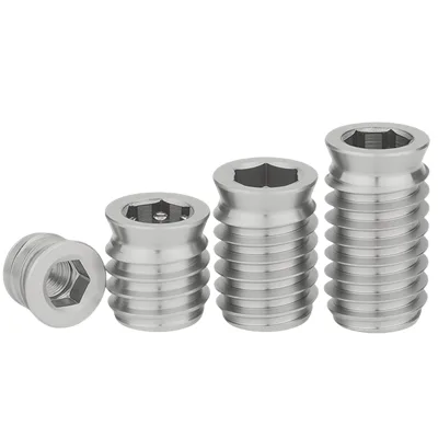 M6x20 M8x20 M10x20 Metric Oval Head Stainless Steel 304 Threaded Insert Nuts for Furniture Wood