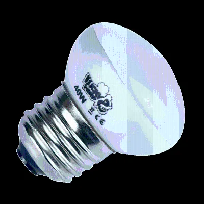 Hot Sale Classic R45 Chick Reptiles Nighttime Heat Light Small Infrared White Lamp with Reptile Glass Material for Pet Owners