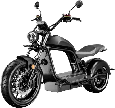 EEC COC Certificate 80KM/H 4000W Brushless Lithium Battery Aluminum Alloy Waterproof Citycoco Electric Scooters EU Stock