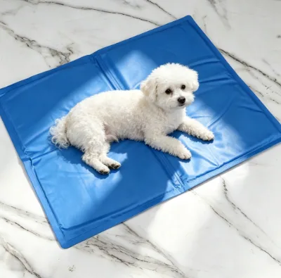 Hot-Selling Modern Solid PVC Cooling Mat Summer Heat Dissipation Pet Ice Nest for Dogs Cross-Border Use