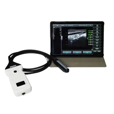 GREAT FARM High-end Veterinary Ultrasound Equipment with Advanced, Waterproof, and Durable Chips; Supports Wide Probes.