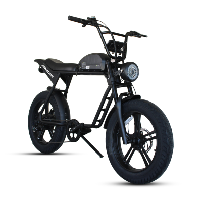 Hot Sale Other E Bicycle Electric Bike