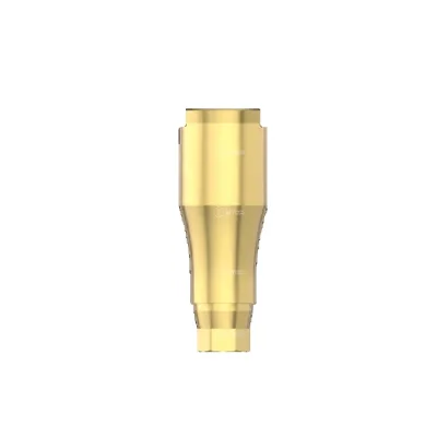 BLX Straumann Dental Scan Post