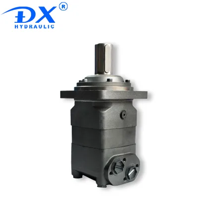 RAYPOO Gear Motor OMV-315 OMV-400 OMV-500 for Mini Excavator 100cc Displacement 100 Nm Continuous Torque