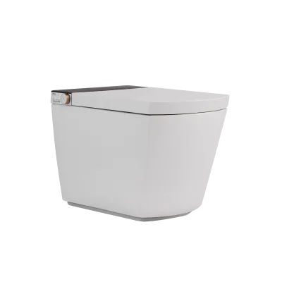 Watermark CE Certified Smart Toilet One Piece with Concealed Tank Square Bowl Cyclone Flushing P Trap 180mm or S Trap 75-225mm
