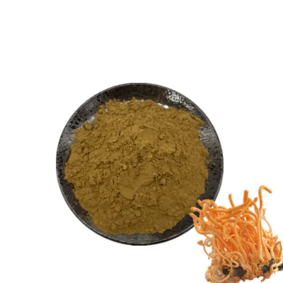 High Quality Cordyceps Sinensis Extract Powder Cordyceps Sinensis Powder