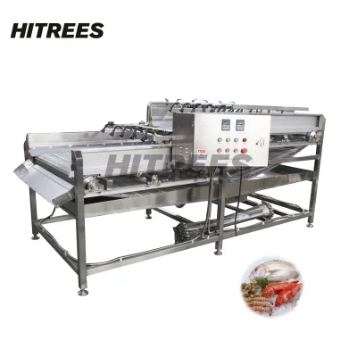 User Centric Flip Belt Ice Glazing Machine for Operator Convenience with Intuitive Controls