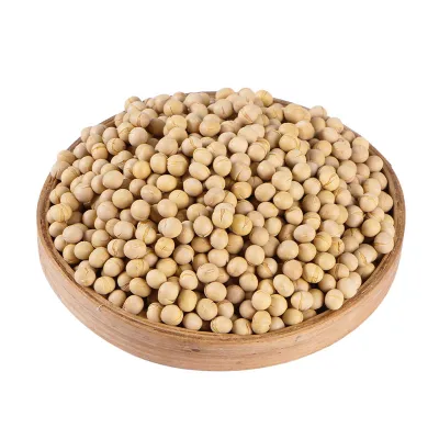 Soybean