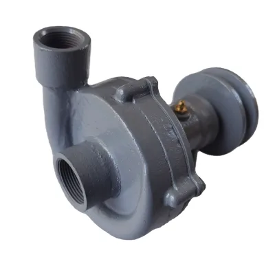 High Quality Sea Water Pump for Marine Boat Engine No Motor  Input 1.1/4"  Output 1" Sea Water Pump