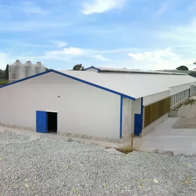 High Quality Poultry House Design Chicken House Curtain Poultry Farming for Layers in Kenya Farm
