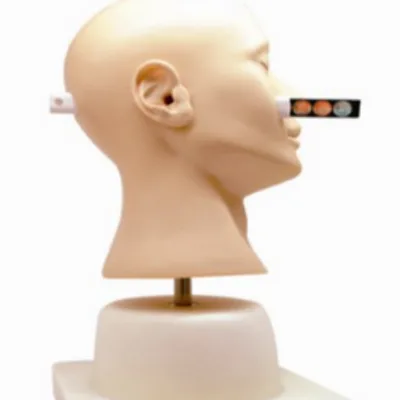 High Quality Ear Diagnosis Manikin for Professional Training and Education