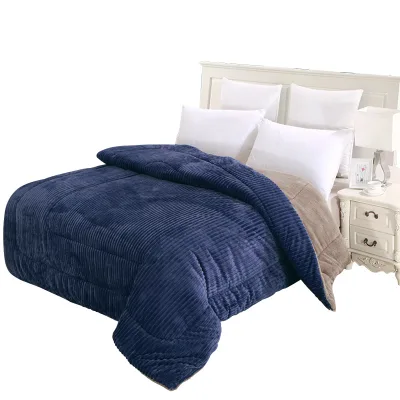 Winter Blanket Minky Quilt Blanket Sherpa Warm Comforter Quilt Blanket