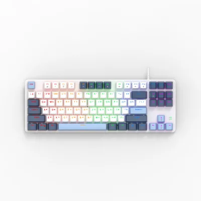 Best Selling 87-Key Mechanical Gaming Laptop Keyboard Projection Style Compatible for Windows PC Direct From Whole World