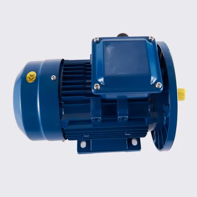 3 PH 3 HP 50Hz 380/660V Induction Motor