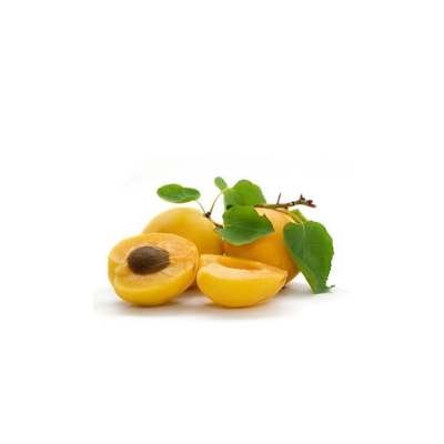 Orchards Direst Supply Fresh Plum Shaped Apricot Organic Korla Apricot Delicious Chinese Apricot