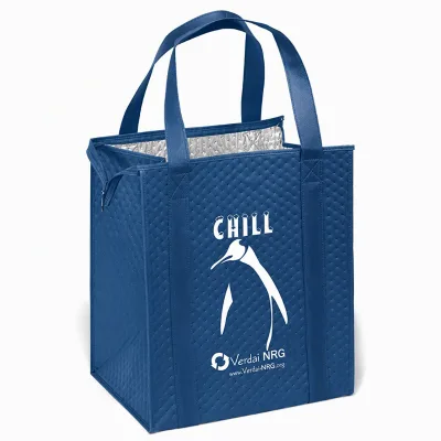 Aluminum Foil Insulated Thermal Eco-Friendly Cooler Bag with Zipper Closure Letter Pattern Plastic Bottom Insert for Grocery Use