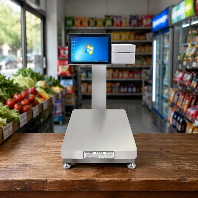 Stainless Steel Industrial Weighing Scales Print Function Simple Waterproof LCD Display Thermal Printer for POS Systems