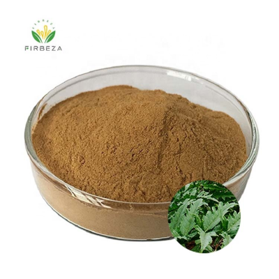 Factory Wholesale Artichoke Acid Powder Organic Cynara Scolymus Artichoke Leaf Extract