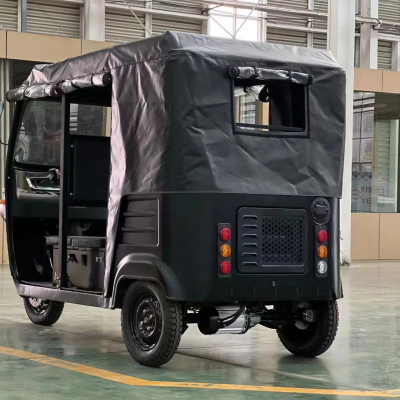 New Export to the United States Electric Three-wheeled Scenic Spot Sightseeing