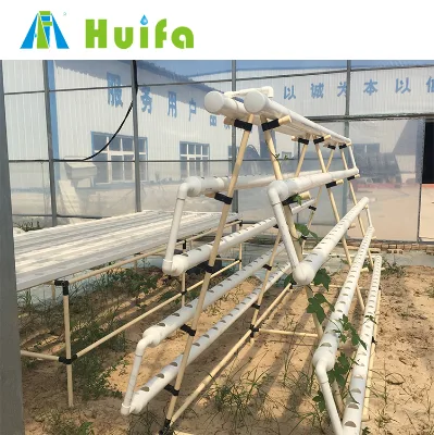 Greenhouse Structure with Complete Hydroponic Growing System