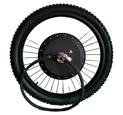 Hot Design 600W Electric FAT Bike 250W Front 350W Rear Electric Bicycle Motor