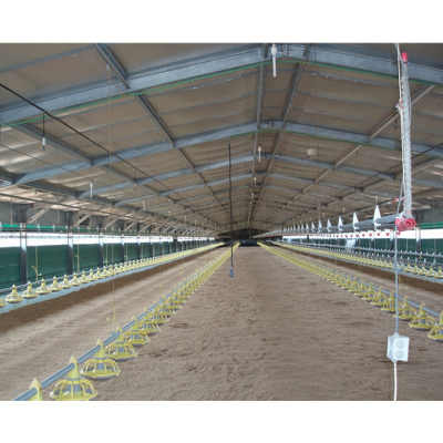Broiler Chicken House Poultry Farm / Chicken Poultry Farm