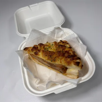 It Is Used for Packaging in The Catering Industry Sustainable Materials Box Vegetable or Dessert Package