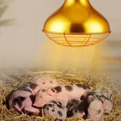 Farm Pig Pet Aluminum Waterproof Preservation Brooder Heat Lamp, Metal Poultry Piglet Chicken Game Fowl Supplies Heating Lamp