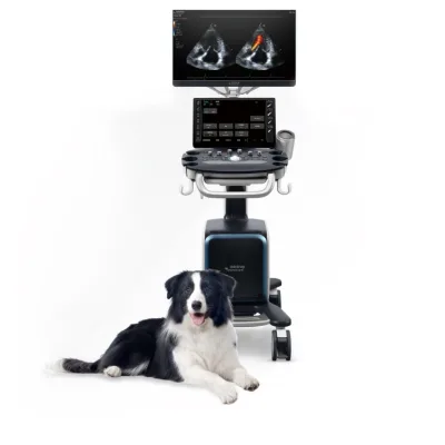 Mindray Vetus 80 Veterinary Doppler Ultrasound Device Advanced Image Technology Elastography Cardiac for Veterinary Clinic