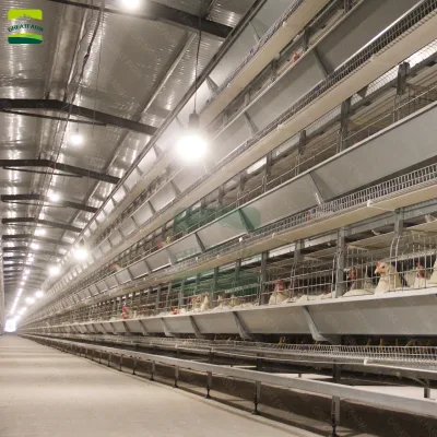 Hot Dip Galvanized H-Frame Stacked Chicken Cage Intelligent Automatic Drinking Feeding Equipment for Large Laying Poultry Farm