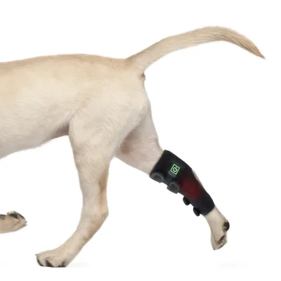 New Pet Therapy Home Use Dog Red Light Infrared Wrap Pain Therapy 660nm 850nm Mat for Dog's Paw