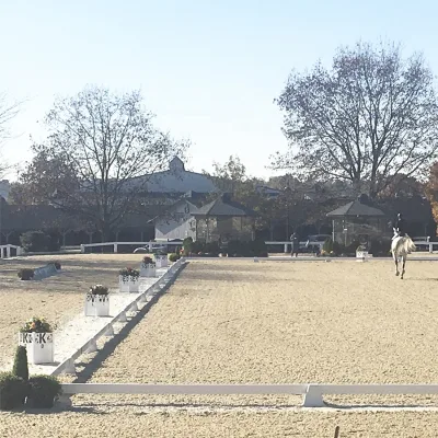 Fentech 20x60m White HDPE Wholesale Portable Horse Dressage Arena with Letters and Cones,Equestrian Dressage Arena