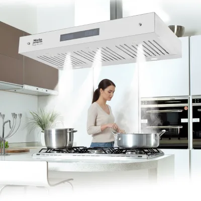 Painted Body Double Motor Optional Kitchen Slim Hood