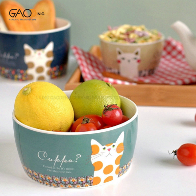 White Ceramic Bowl with Cat Pattern New Bone China Bowl with Decal Printing