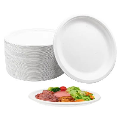 Compostable Sugarcane Paper Plates Disposable Bagasse Plate Biodegradable Plate