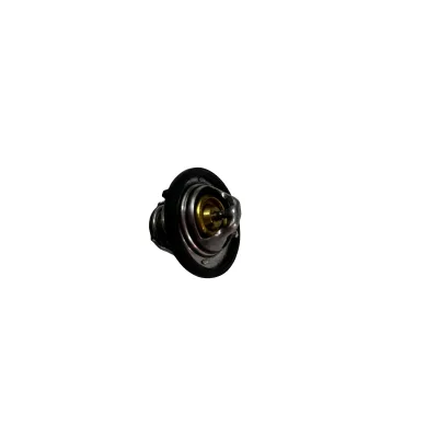9025192 Factory Sale Hight Quality Engine Coolant Thermostat for Buick New English Chevrolet New Cyo Cruze Wholesale Car Parts