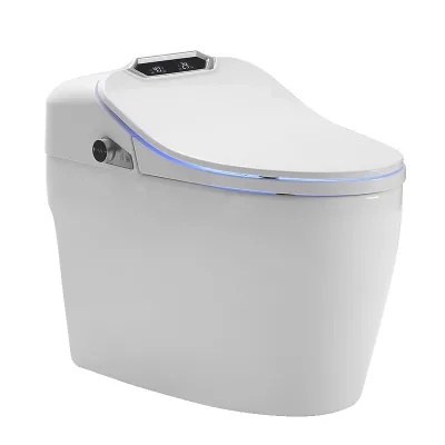 WC Smart Fully Elongated Toilet Seat S-Trap Drainage Included Dual-Flush Remote Control Floor Mounted Automatic Self Clean