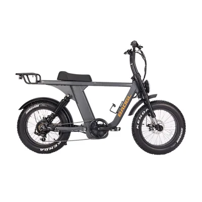 20 Inch All Terrain Full Suspension Fat Tire Ebike Fatbike 48V250W Cuise Ebike Chopper Bike Retro Electric Bike