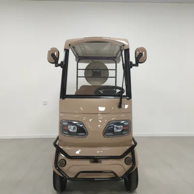 Beautiful Open Body 4-Wheel Electric Tricycle for Adults and Elderly 48V 600W Rear Hub Motor Steel Frame 60V Optional