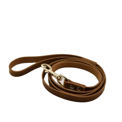 Genuine Leather Dog Leash With Gold Metal Snap Hook Durable Walking Training Lead for Medium Large Pet Daily Outdoor Use