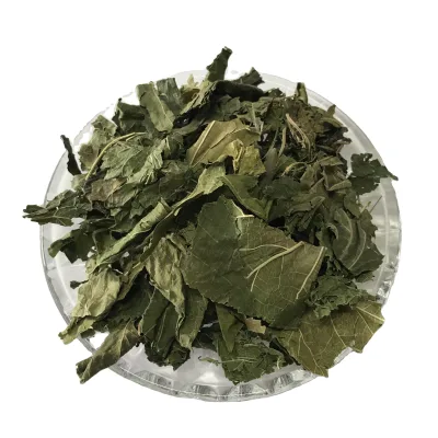 5001 Raw Top Grade Bulk Folium Mori Dried Mulberry Leaf Health Tea in Box & Bag