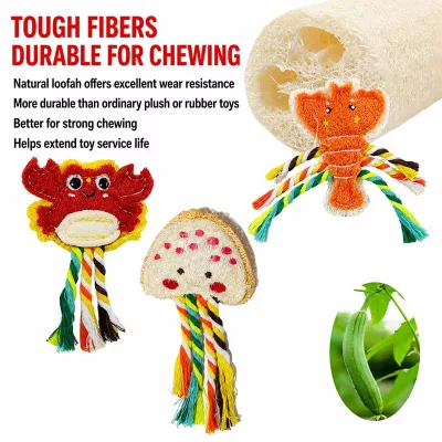 Natural Loofah Cat Chew Toy with Cute Cartoon Design Supports Interactive Play While Cleaning Teeth and Massaging Gums