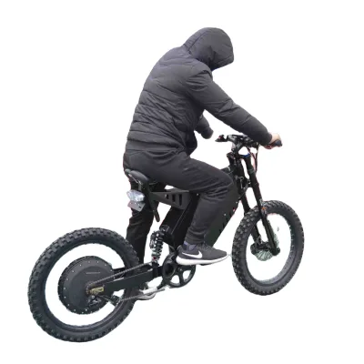 OEM Full Suspension Ebike 3000w 5000w 8000w City Bike Bicycle Easy Rider Electric Bike for Adult