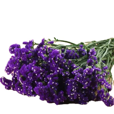 Factory Price Lavender Dried Wholesale Dried Flowers Bulk Dried Flowers