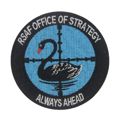 Custom Logo Embroidery Patch Manufacturer with Iron Back Adhesive Anime Design Polyester Material Eco-Friendly for Caps