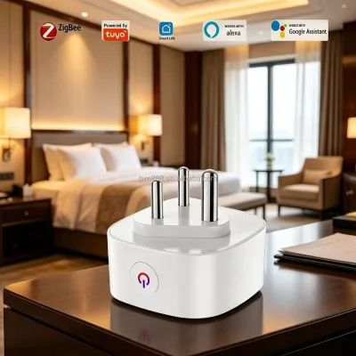 Indin Smart Plug Matter Smart Socket Energy Monitoring Timer Remote Local Control by Alexa Google Home Speaker
