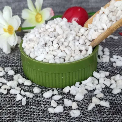 Factory Wholesale Perlite for Plants 1-15mm Perlite Expanded Horticultural Perlite Granules